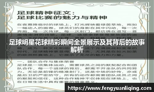 足球明星花球精彩瞬间全景展示及其背后的故事解析