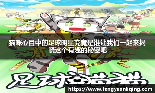 猫咪心目中的足球明星究竟是谁让我们一起来揭晓这个有趣的秘密吧